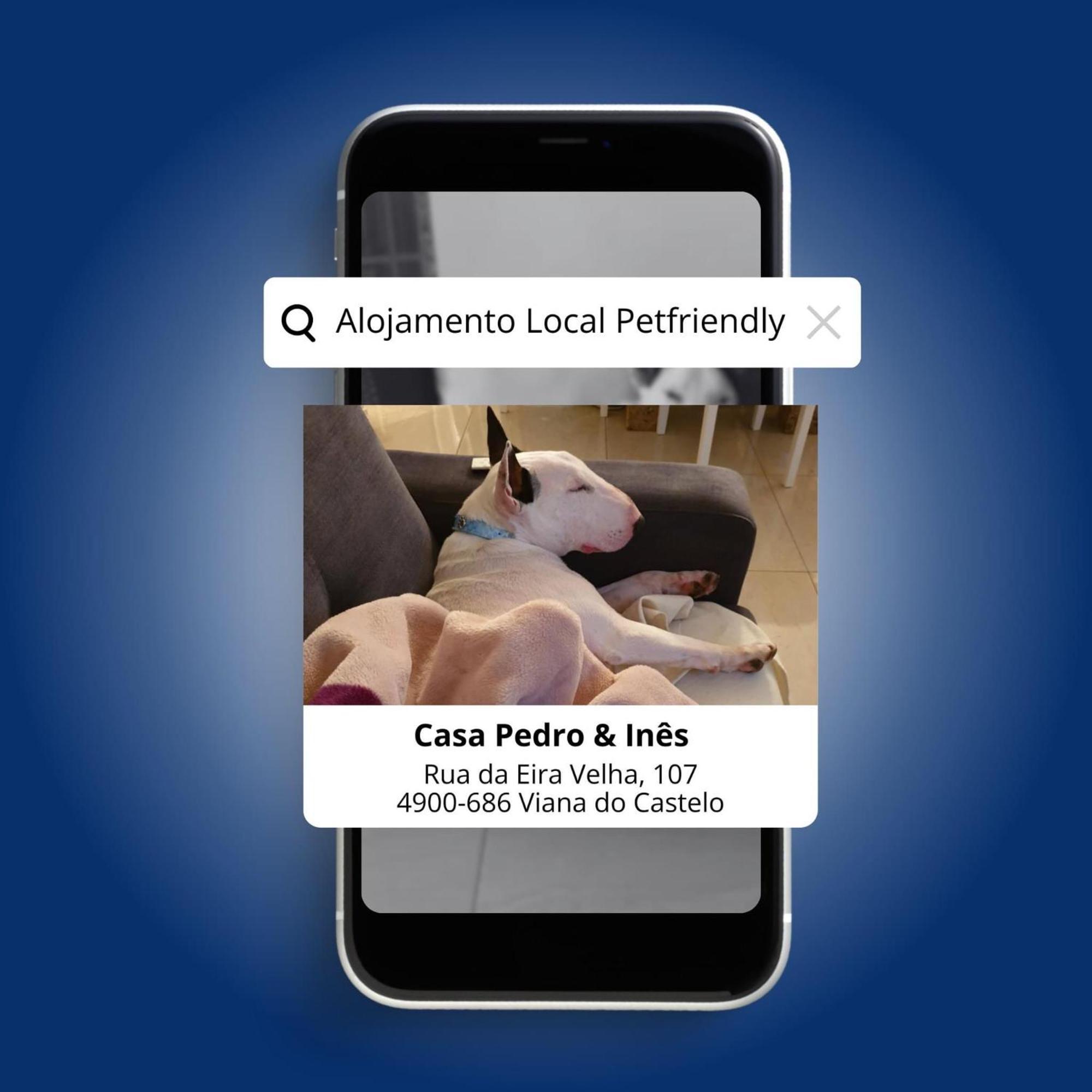 ビアナドカステロ Casa Pedro E Inesヴィラ エクステリア 写真